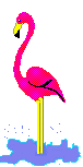 animiertes-flamingo-bild-0013