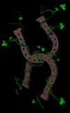 animiertes-vierblaettriges-kleeblatt-bild-0066