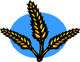 animiertes-getreide-bild-0004