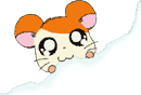 animiertes-hamtaro-bild-0016