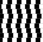 animiertes-optische-taeuschung-illusion-bild-0025