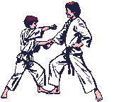 animiertes-judo-bild-0013