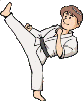 animiertes-karate-bild-0026