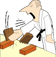 animiertes-karate-bild-0036