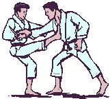 animiertes-karate-bild-0053