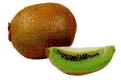 animiertes-kiwi-bild-0005