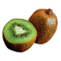 animiertes-kiwi-bild-0008