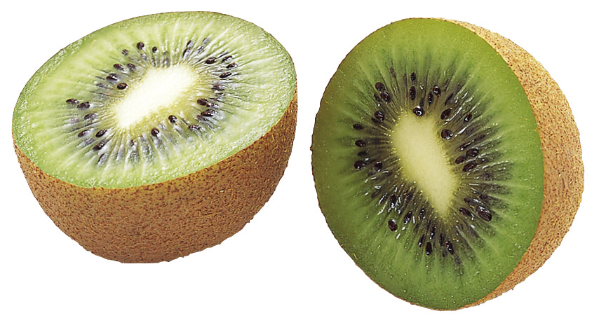 animiertes-kiwi-bild-0009