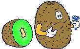 animiertes-kiwi-bild-0021