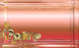 animiertes-namensschild-bild-0150