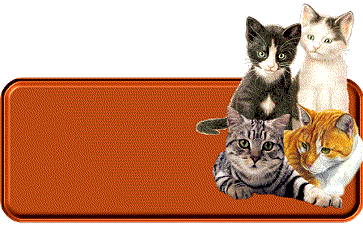 animiertes-namensschild-bild-0226