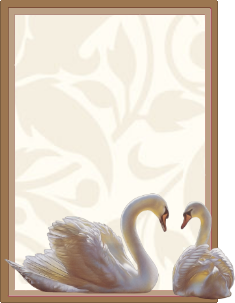 animiertes-namensschild-bild-0348