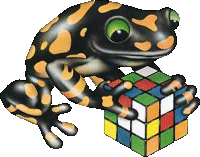 animiertes-reptil-bild-0046