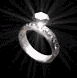 animiertes-ring-bild-0008