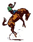 animiertes-rodeo-bild-0003