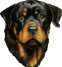 animiertes-rottweiler-bild-0001