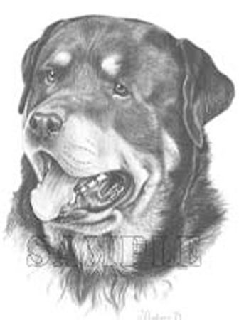 animiertes-rottweiler-bild-0007