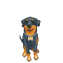 animiertes-rottweiler-bild-0041
