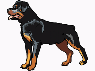 animiertes-rottweiler-bild-0050