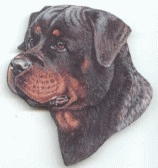 animiertes-rottweiler-bild-0051