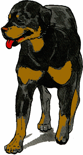 animiertes-rottweiler-bild-0061
