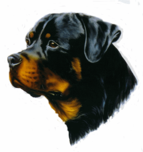 animiertes-rottweiler-bild-0062