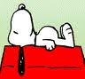 animiertes-snoopy-bild-0080