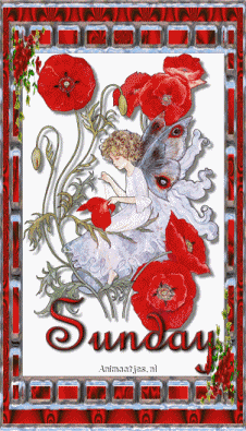 animiertes-Sonntag-bild-0038