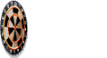animiertes-dart-bild-0032