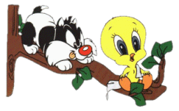 animiertes-tweety-bild-0060