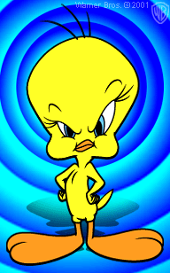 animiertes-tweety-bild-0067