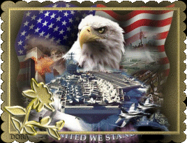 animiertes-usa-bild-0019