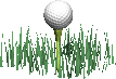 animiertes-golf-bild-0052
