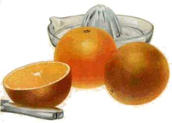 animiertes-grapefruit-bild-0014