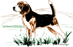 animiertes-beagles-bild-0002