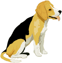 animiertes-beagles-bild-0024