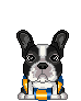 animiertes-boston-terrier-bild-0012