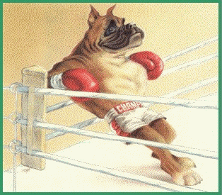 animiertes-boxer-hund-bild-0002