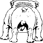 animiertes-bulldogge-bild-0044