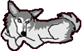 animiertes-husky-schlittenhund-bild-0008
