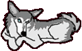 animiertes-husky-schlittenhund-bild-0008