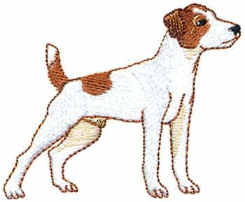 animiertes-jack-russell-terrier-bild-0002