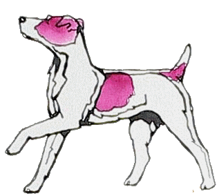 animiertes-jack-russell-terrier-bild-0004