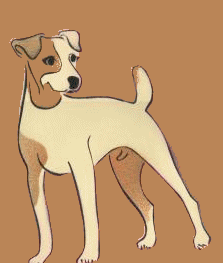 animiertes-jack-russell-terrier-bild-0015