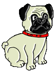 animiertes-mops-hund-bild-0026