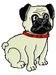 animiertes-mops-hund-bild-0026