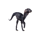 animiertes-dinosaurier-bild-0031