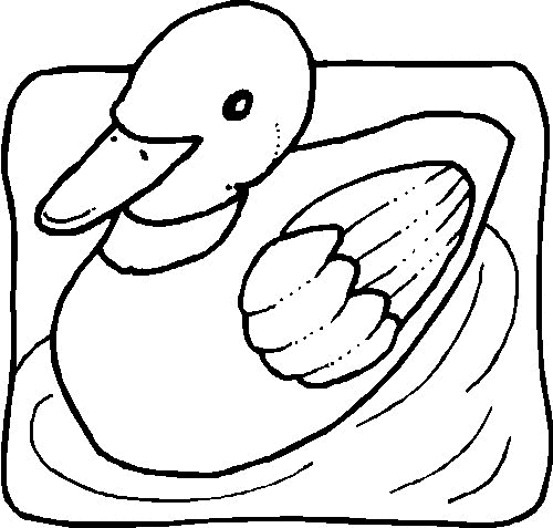 animiertes-ente-ausmalbild-malvorlage-bild-0010