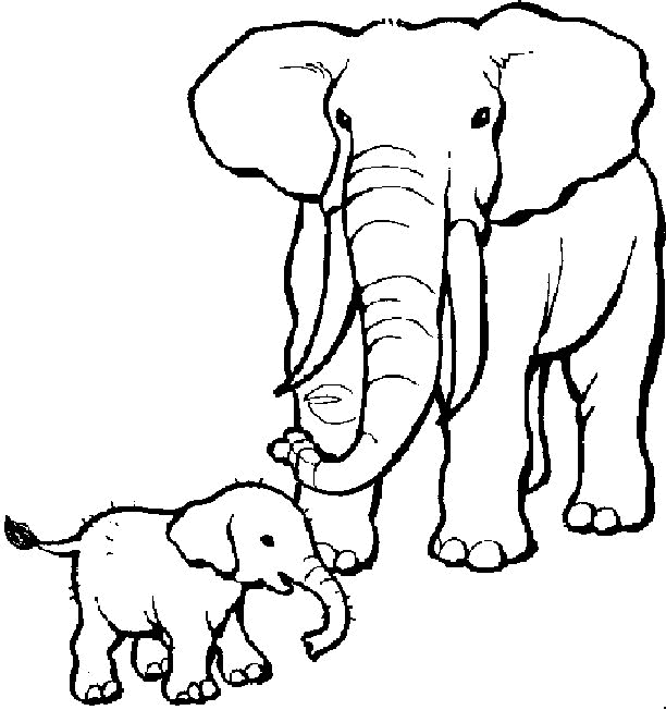 animiertes-elefant-ausmalbild-malvorlage-bild-0015