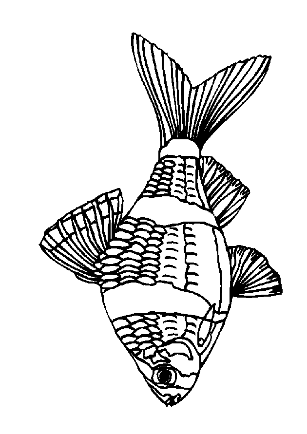animiertes-fisch-ausmalbild-malvorlage-bild-0007